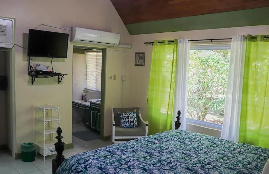 Seven Palms Villa Runaway Bay Jamaica